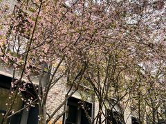 -浙江大学(玉泉校区)