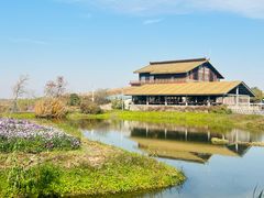 -宁波杭州湾国家湿地公园