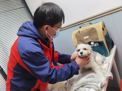 -伟伟宠物医院·CT影像中心·瑞派犬猫综合性门诊(汉口总院)