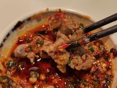-董记老清泉·鲜切涮羊肉(窑岭店)