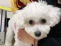 -安安宠医·安宠宠物医院