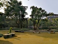 -浙江大学(玉泉校区)