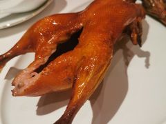 -东富酒家(龙湖西溪天街店)