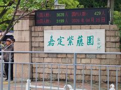 -嘉定紫藤园