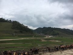 -关山草原