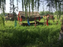 -长兴太湖图影湿地文化园