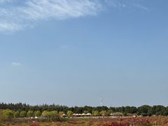 景点-嘉北郊野公园