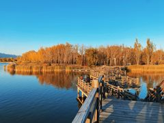 -野鸭湖国家湿地公园