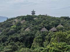 -亚龙湾热带天堂森林公园
