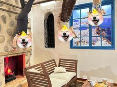 -槟城颠倒博物馆