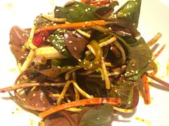 凉拌四川折耳根-眉州东坡(团结湖店)