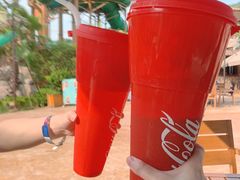 -杭州开元森泊度假乐园