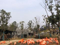 -武汉动物园
