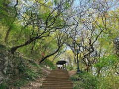 -句容茅山景区