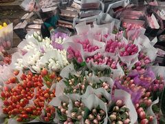 -循礼门鲜花花市(武汉循礼门店)