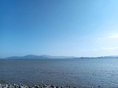 -深圳湾公园(南山区)