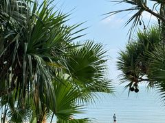 -碧桂园十里银滩