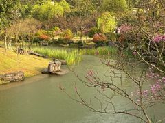 -桃花岭景区