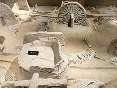 -洛阳周王城天子驾六博物馆