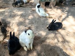 -鄂尔多斯野生动物园