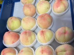 -老袁家蜜桃农场·阳山水蜜桃