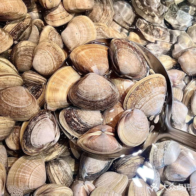 🌟无锡海鲜放题天花板|实现三文鱼+和牛双自由