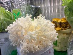 -烹然四季椰子鸡火锅(姚家园万象汇店)