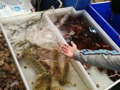 -大湾区中央湿地公园-十九涌