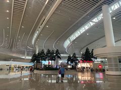 -青岛胶东国际机场