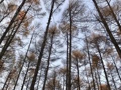 -长春市南湖公园