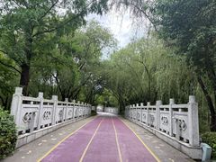 -尚贤河湿地