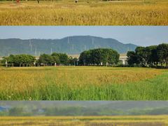 -光明小镇欢乐田园