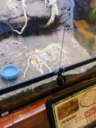 -酷嗒动物文化乐园(cutezoo西溪乐天城店)