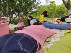 -九里河湿地公园