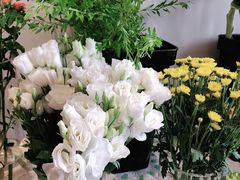 -北边的花店(泛悦城市广场店)