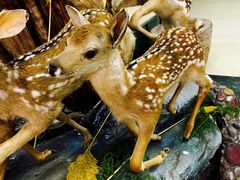 -乔家满族八大碗(流水沟店)