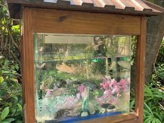 -厦门日月谷温泉渡假村