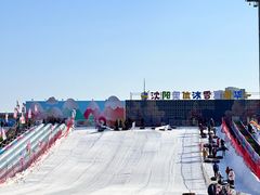 -沈阳奥体冰雪嘉年华