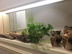 -艾维庭美容纤体SPA
