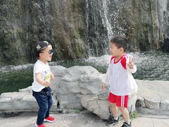 -合肥滨湖国家森林公园