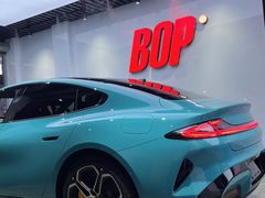 -阿胡BOP保镖隐形车衣(静安旗舰店)