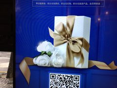 -锦江旅游(上海旅行社店)