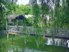 -鹅滋道(甘坑古镇店)