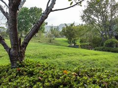 -雅达·阳羡溪山小镇中心