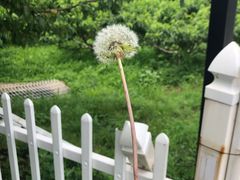 -大连北马山庄