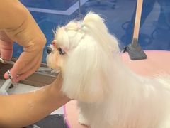 -FAELING PETS美天灵宠物(富力广场店)