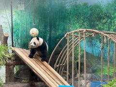 -杭州动物园