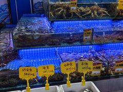 -大东海海鲜酒楼(渔人码头总店)