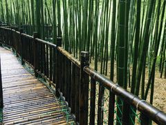 -陶祖圣境风景区