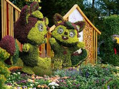 -上海共青森林公园